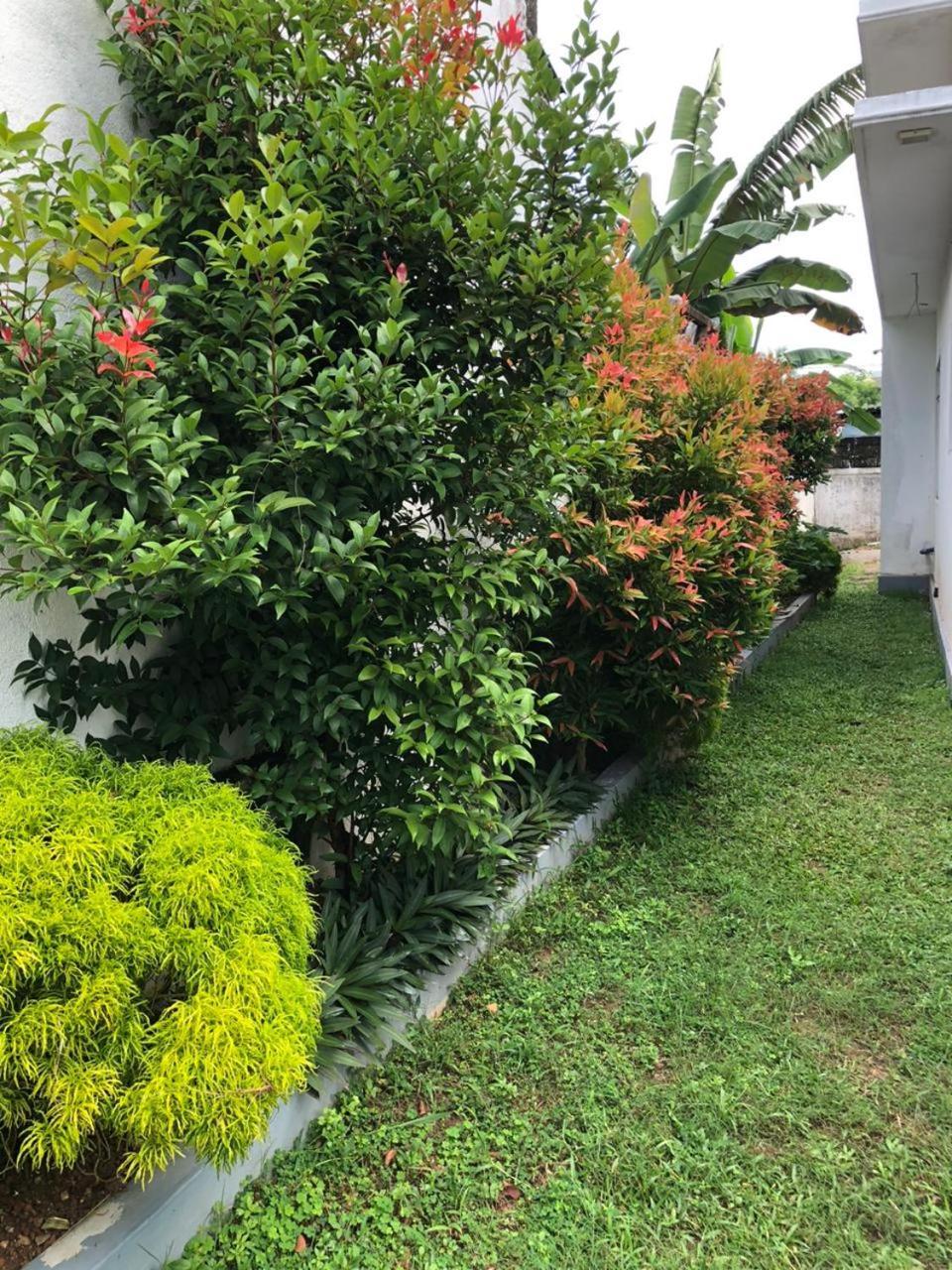 Vidushi Home Minuwangoda Exterior foto